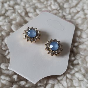 Brane New Blue Toned Gem Earrings